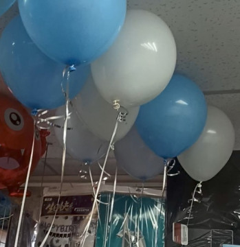 Набор шаров для выписки