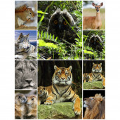 Фотоколлаж 30X40 вертикальный, печать на лазерном принтере